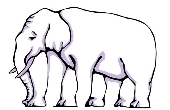 optická ilúzia - slon