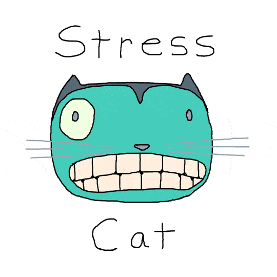 mačka trasúca sa od stresu